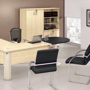 Conjunto Executivo- ME-04